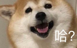 沙雕搞笑暗恋文案，沙雕搞笑文案
