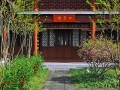 春日游玩攻略郑州，郑州春天游玩