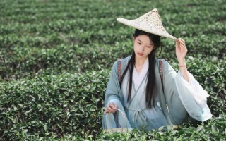 清冷城主汉服穿搭，清冷城主汉服穿搭图片